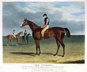 The Colonel, the Winner of the Great St. Leger Stakes at Doncaster