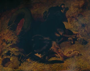 Sleeping Dog, 1850