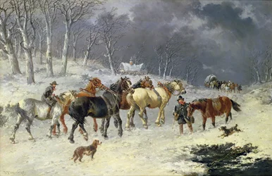 Horses in the Snow