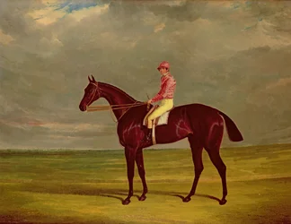 Unknown Image