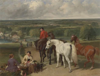 Exercising the Royal Horses