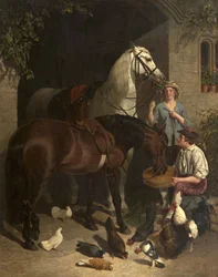 Feeding the Horses