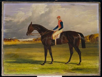 The Earl of Chesterfield