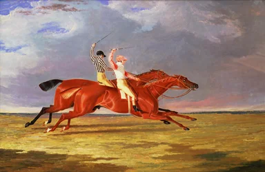 Unknown Image