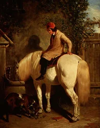 Unknown Image
