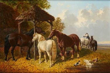 A Busy Farmyard Scene
