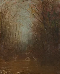 Forest Interior with Stream