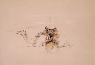 A Bisharin Arab by His Camel