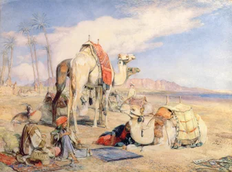 A Halt in the Desert
