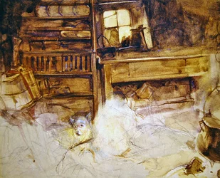 A terrier in a Highland cottage