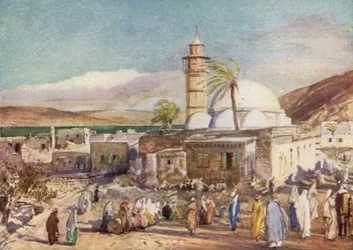 The Mosque at Tiberias and the Lake of Galilee