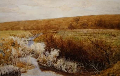A Meadow in Winter