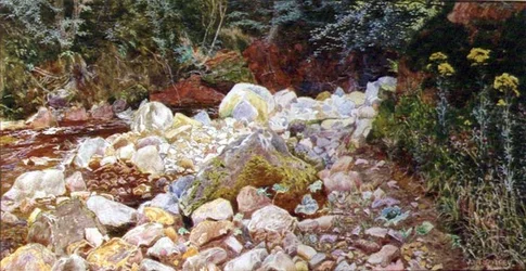 A Rocky Stream