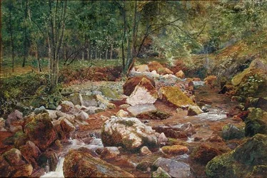 A Rocky Stream Overhung with Trees
