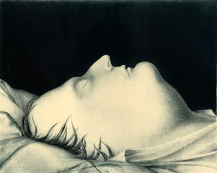 Napoleon on His Death Bed