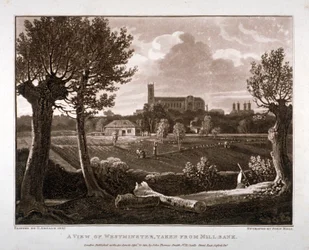 View of Westminster Looking from Millbank, London, 1807