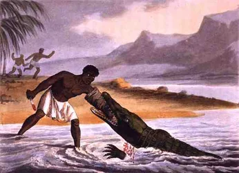The African Crocodile Hunters, engraved by Matthew Dubourg, published by Edward Orme