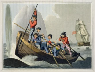 A Ship