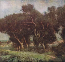 A path by the stream