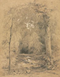 Forest Interior, c. 1870