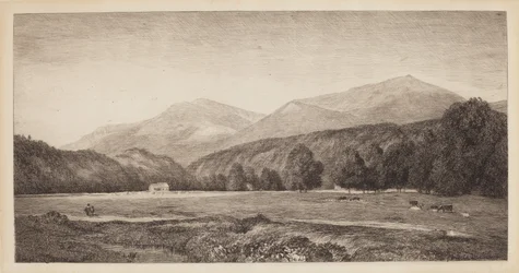 White Mountains
