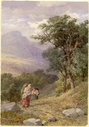 Near Tarbet, Loch Fyne