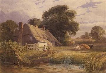 Summer Afternoon