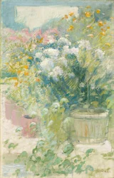 In the Greenhouse