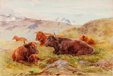 Highland Landscape with Cattle
