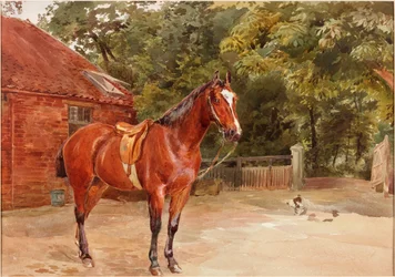 Stableyard with Horse