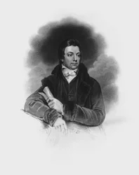 Henry Salt
