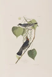 Illustration from 