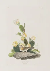 Illustration from 