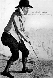 Cock of the Green, 18th century.