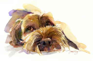 Charlie portrait, 2015