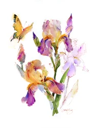 Iris with yellow butterfly, 2016