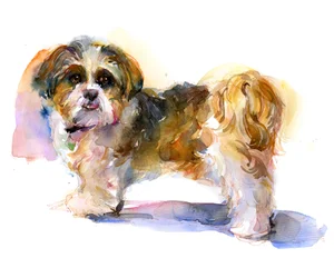 Murphy portrait, 2016