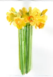 Narcissus bunch, 2014
