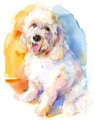 Oliver portrait, 2016