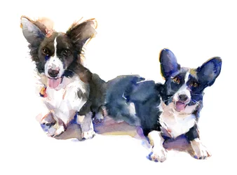 Two Corgis, 2015