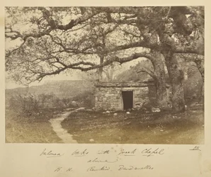 Valonea Oaks with Greek Chapel above, B.H. Renkioi, Dardanelles