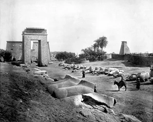 Avenue of Sphinxes, Karnak, Egypt