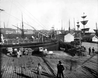 Harbour of Auckland, New Zealand, 1893