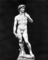 Statue of David, Florence, Italy, 1893
