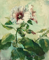 Study of Pink Hollyhocks in Sunlight, from Nature
