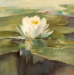 Water Lily in Sunlight, ca. 1883