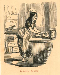 Domestic Habits