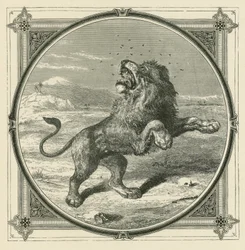 The Gnat stings the eyes of the Lion