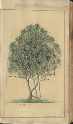 A page from the 
