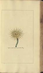 A page from the 